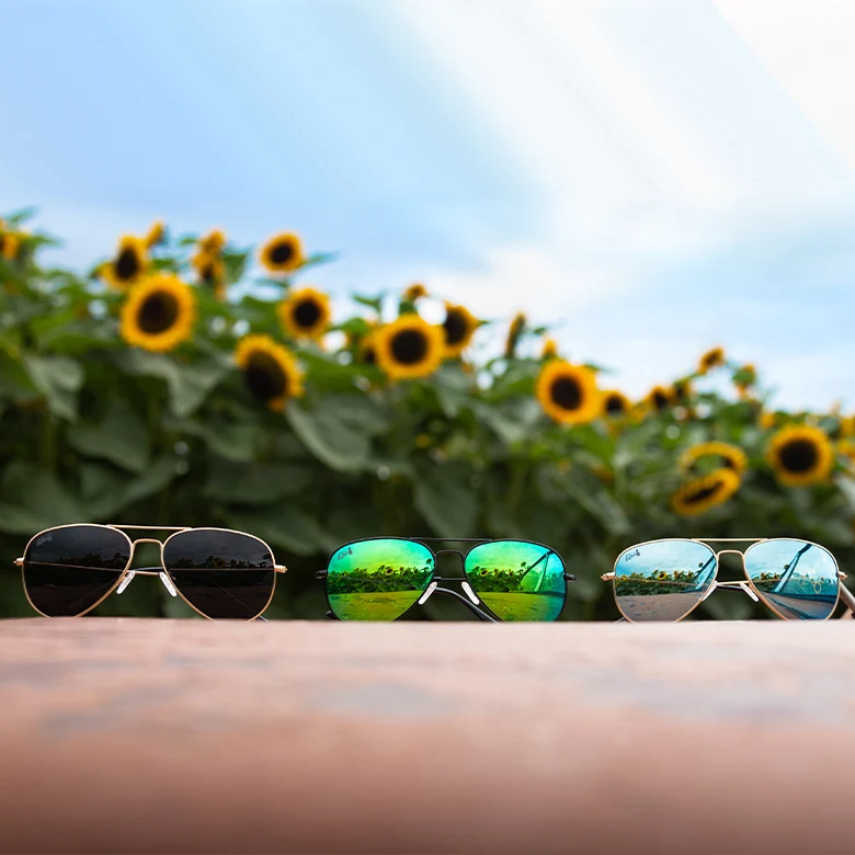 Gold - Sky Blue Lens Polarized - Oasis - Image 3